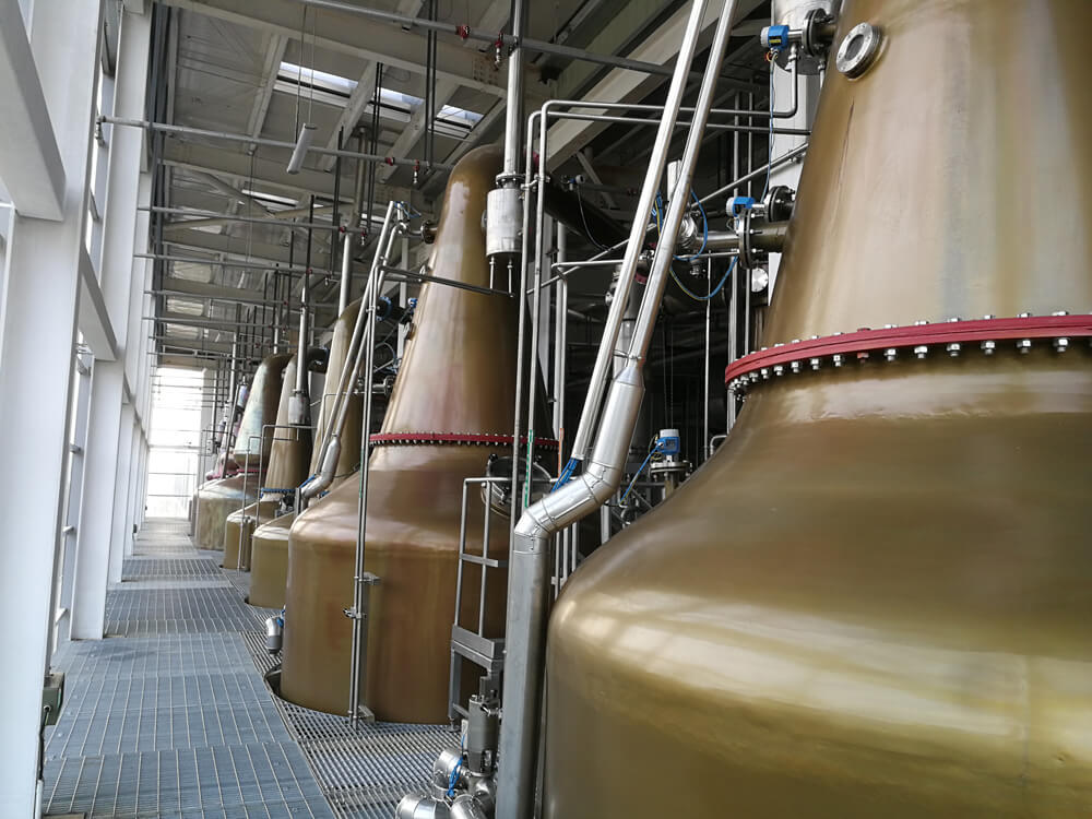 Bacchus Whisky Whole Plant Project Awarded in 2019