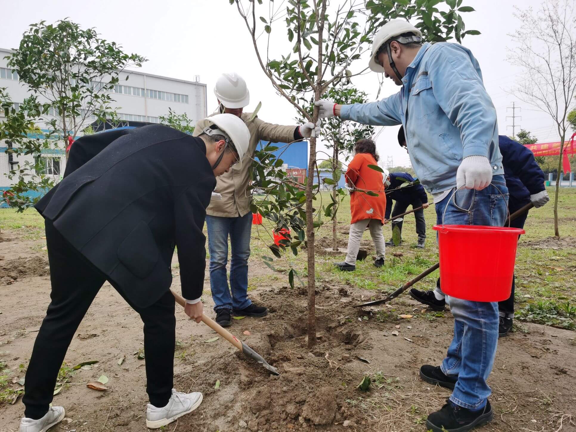 CLPT China team treeplanting